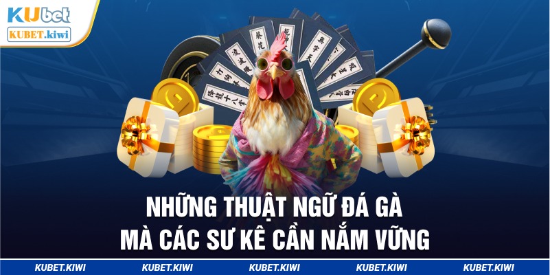 Những Thuật Ngữ Đá Gà Mà Các Sư Kê Cần Nắm Vững