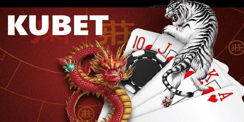 Định nghĩa chơi rồng hổ là gì tại sảnh cược Kubet