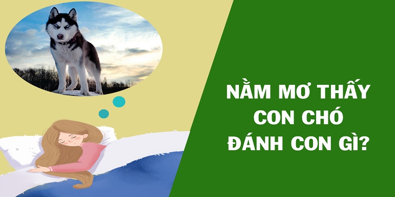 Gợi ý lô đề khi người chơi nằm mộng thấy chó